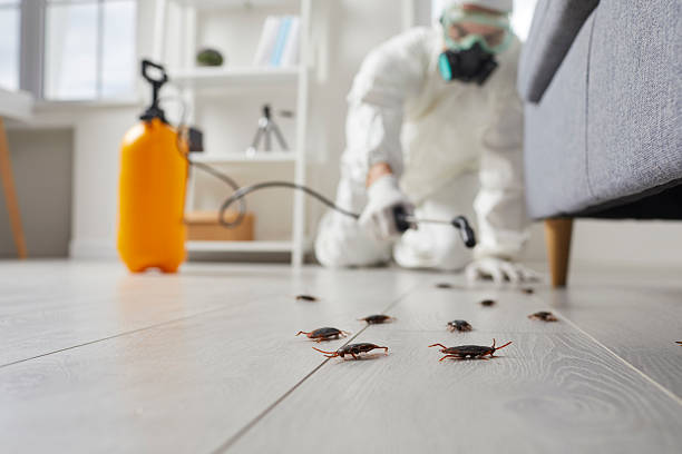 Trusted Fumigation Services service in Lakes West, CT - Nex Pest Control